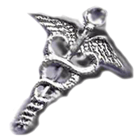 hairpin shaped like a caduceus, image taken from web circa 2003