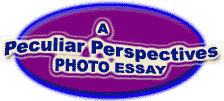 Peculiar Perspectives logo, prepared by Jim McPherson 2007